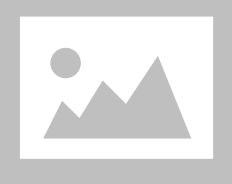 Bleeding Time ( BT )